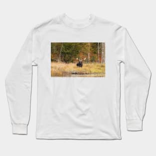 Bull Moose, Algonquin Park Long Sleeve T-Shirt